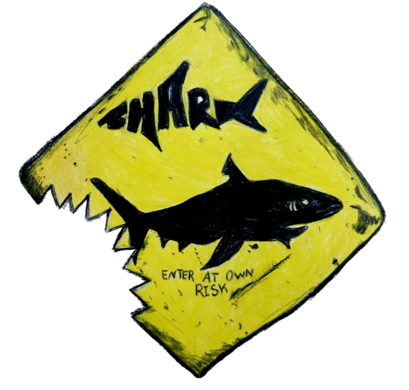 Shark Risk